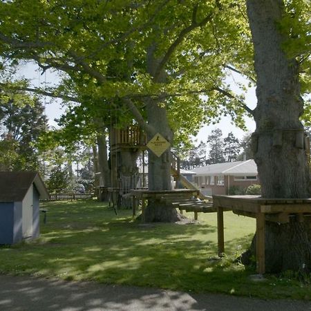 Te Aroha Holiday Park And Motels Luaran gambar