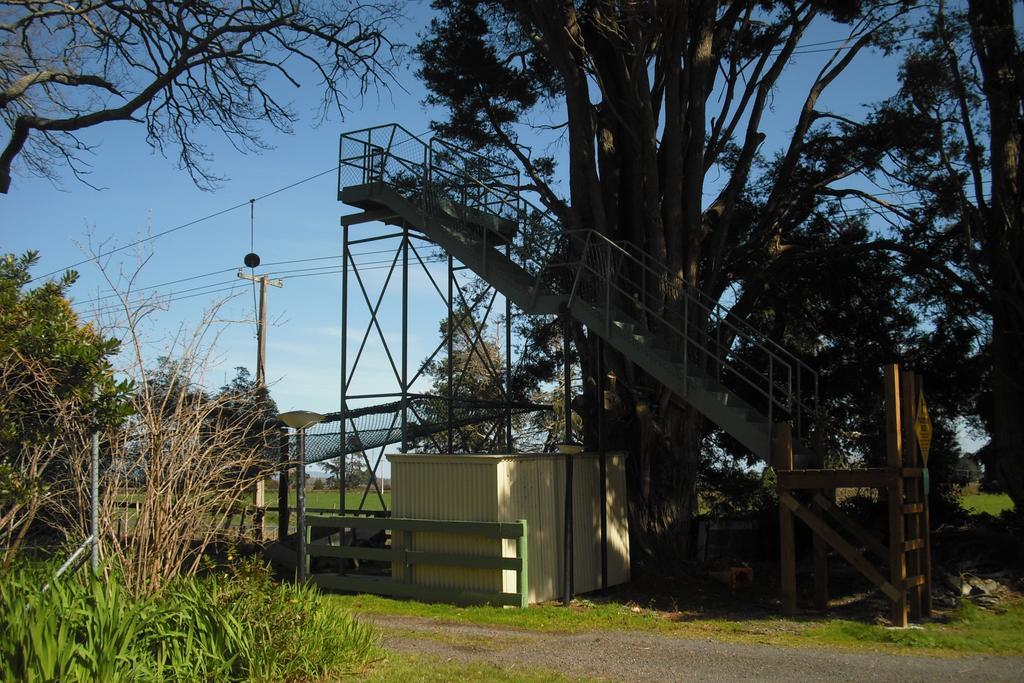 Te Aroha Holiday Park And Motels Luaran gambar